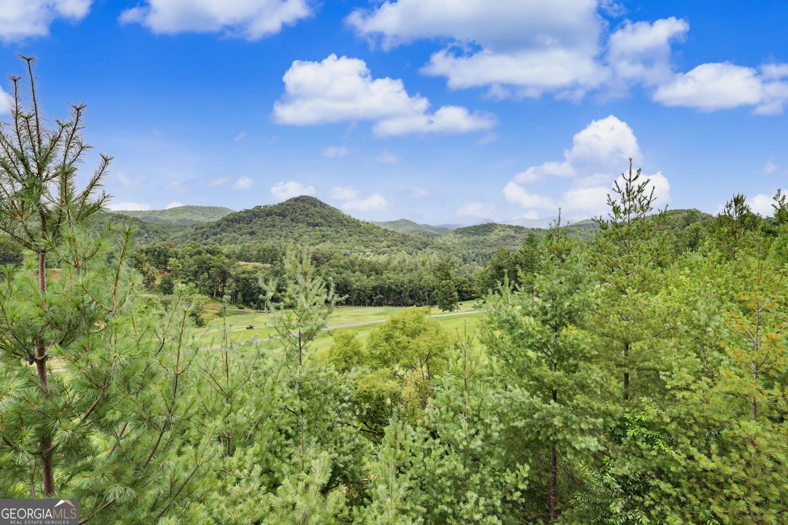 394 Bent Grass Way Clayton - Photo 48
