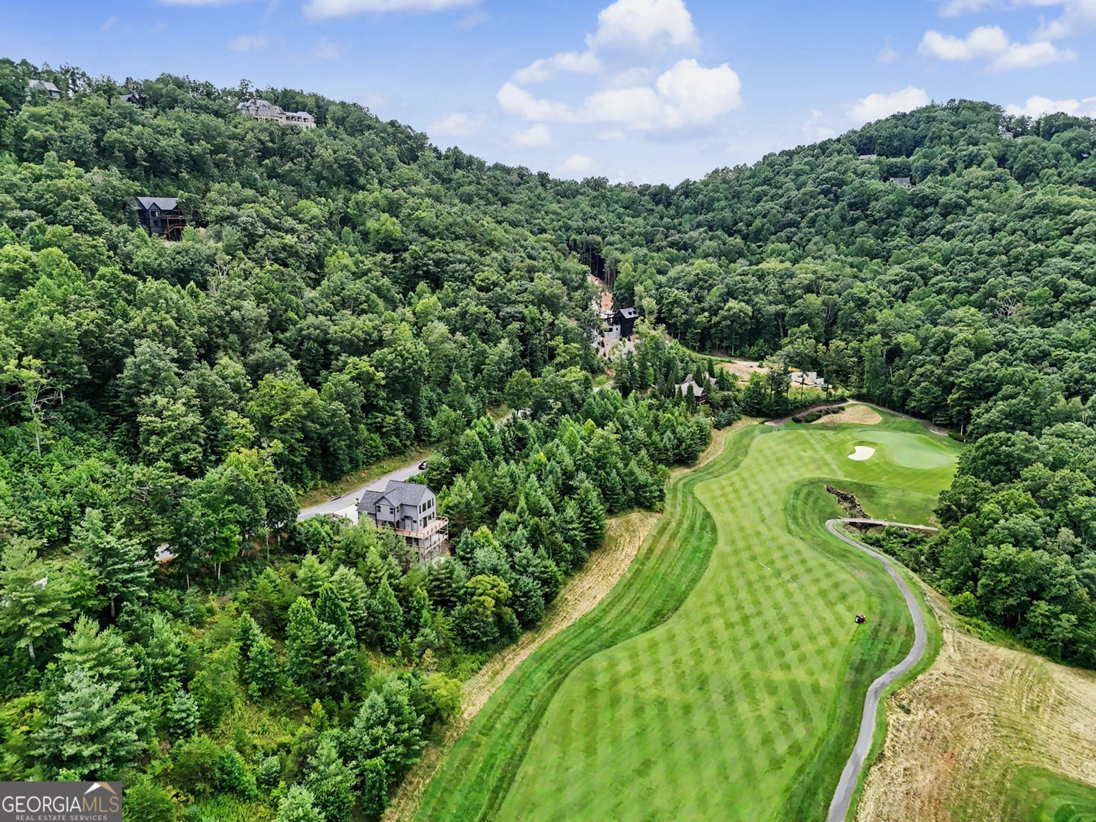 394 Bent Grass Way Clayton - Photo 61