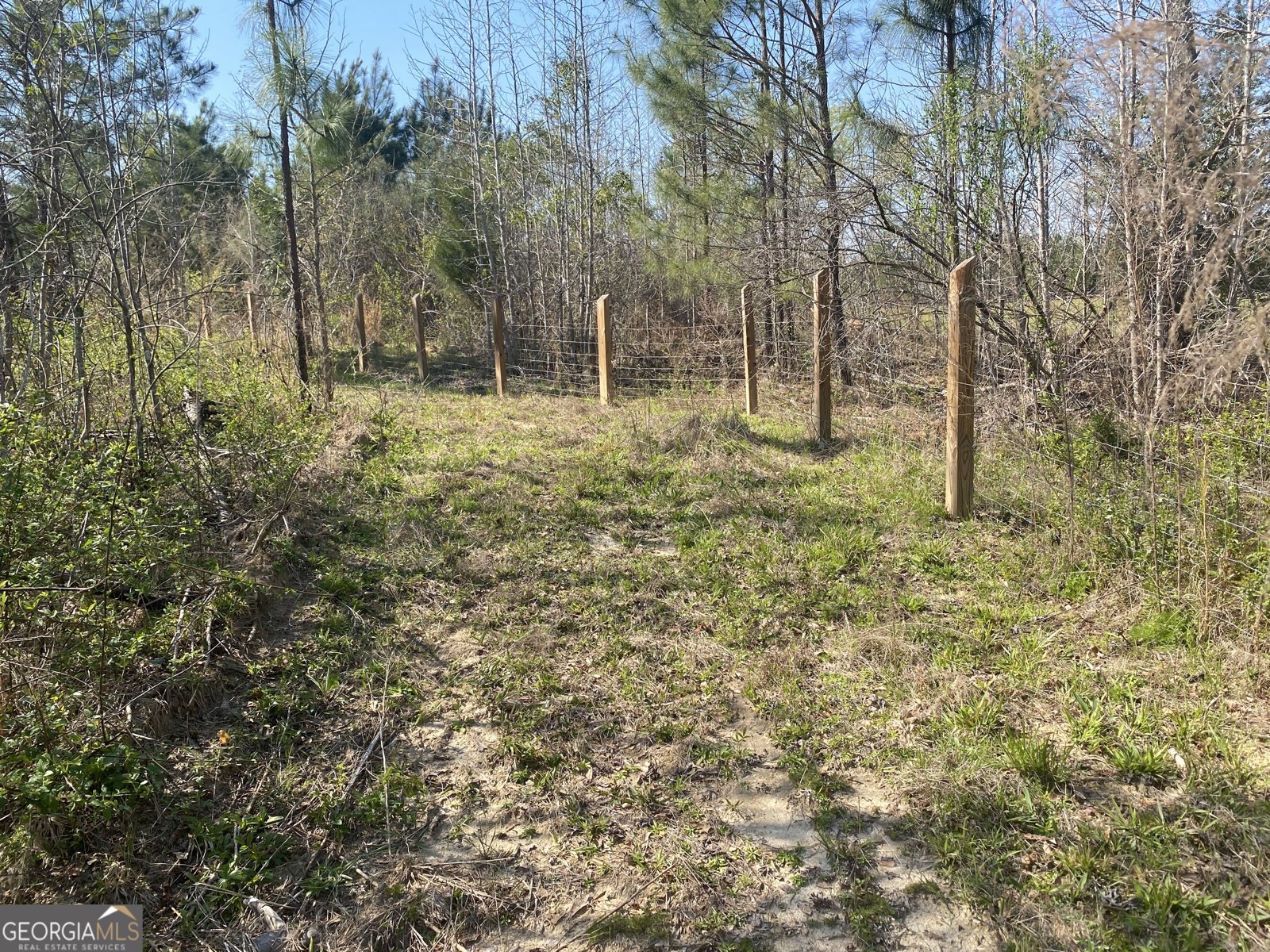1229 Pierce Rd Waverly Hall - Photo 32