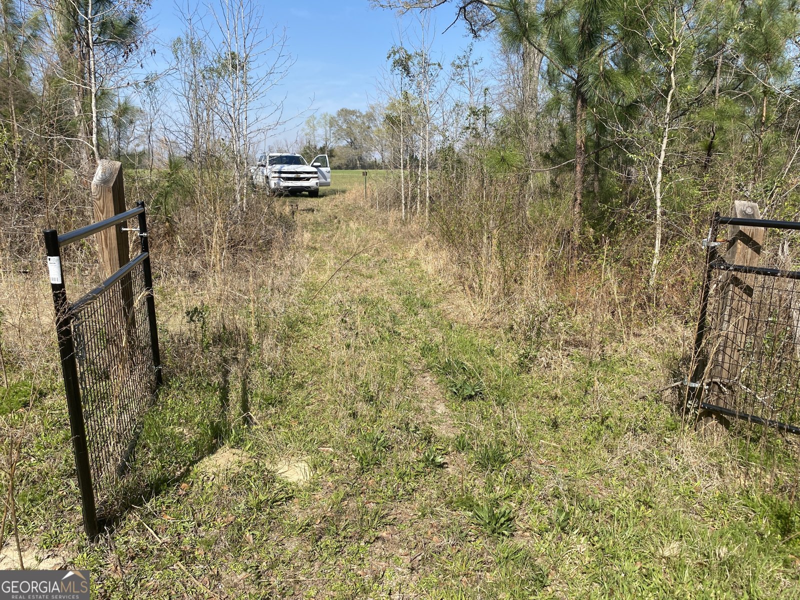 1229 Pierce Rd Waverly Hall - Photo 34