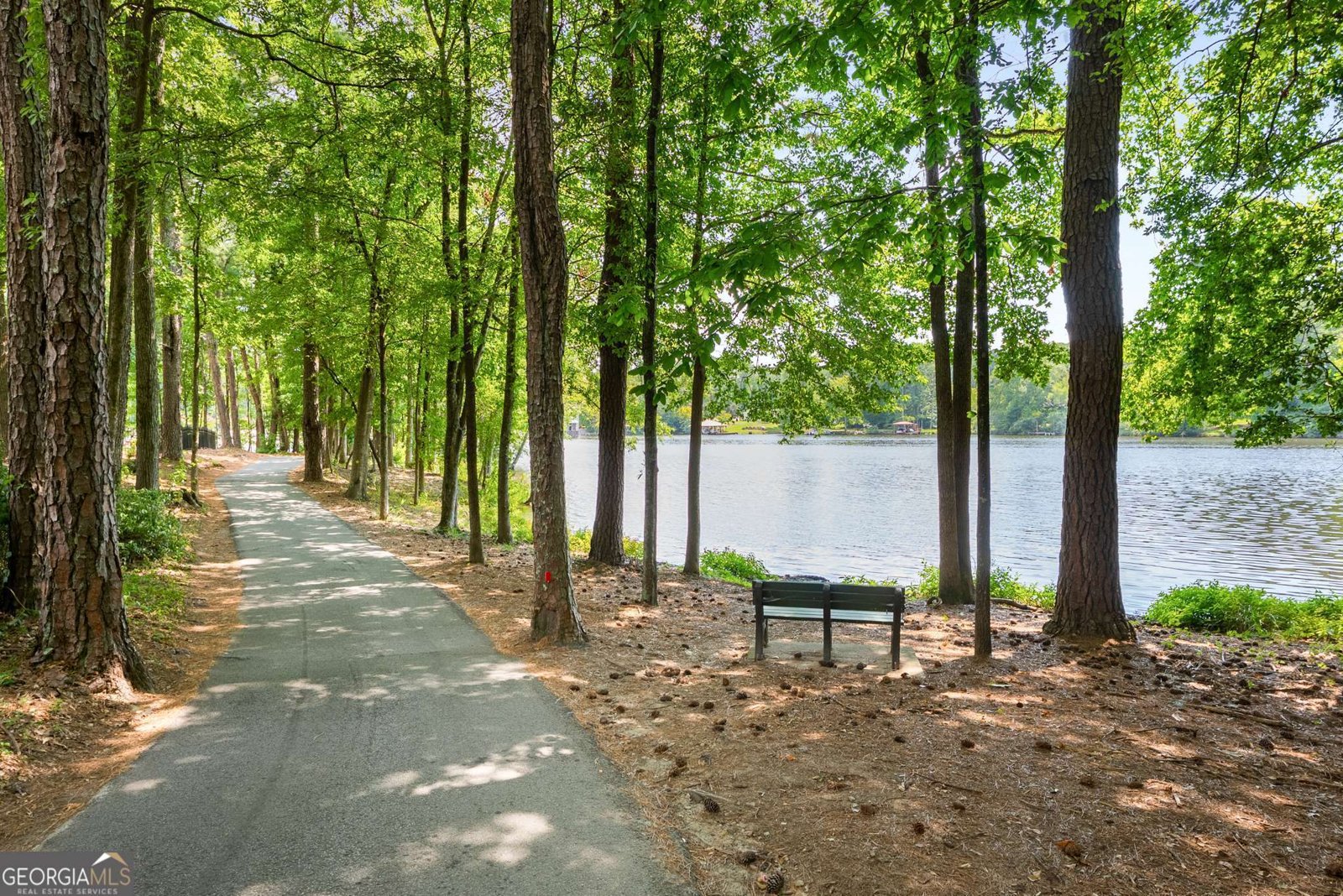 102 Pebblestump Point Peachtree City - Photo 110