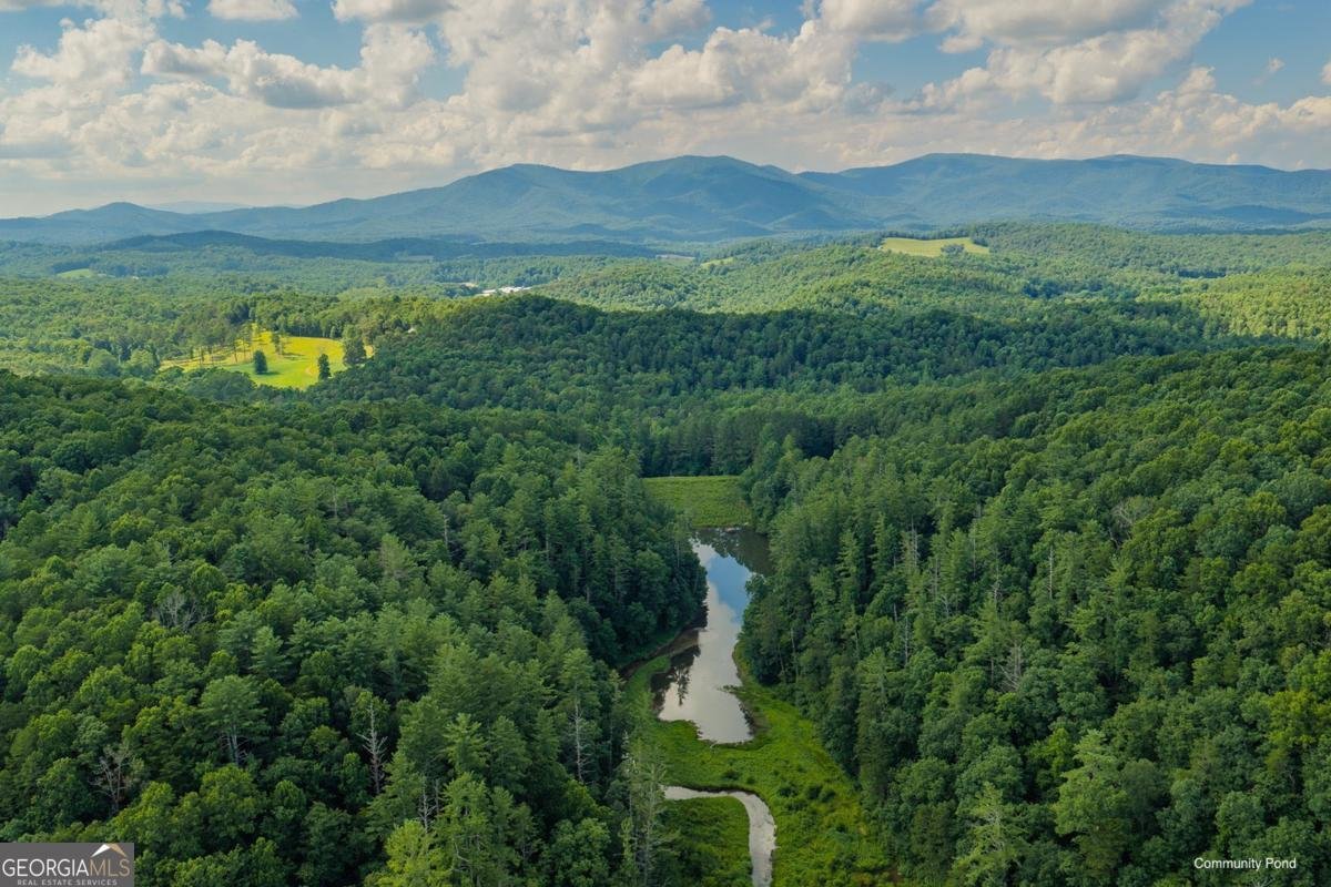 196 Creek Camp Road Ellijay - Photo 37