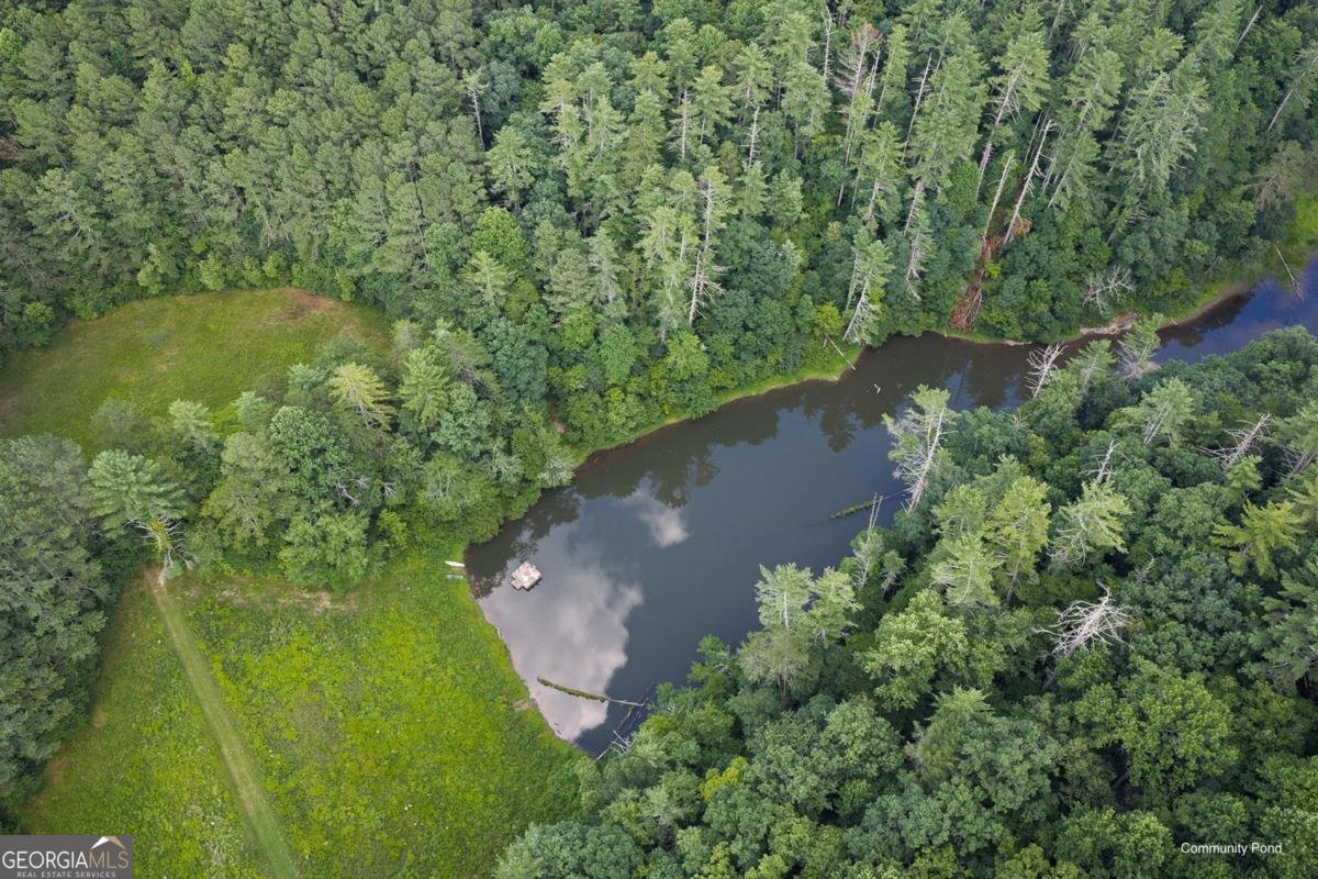196 Creek Camp Road Ellijay - Photo 38