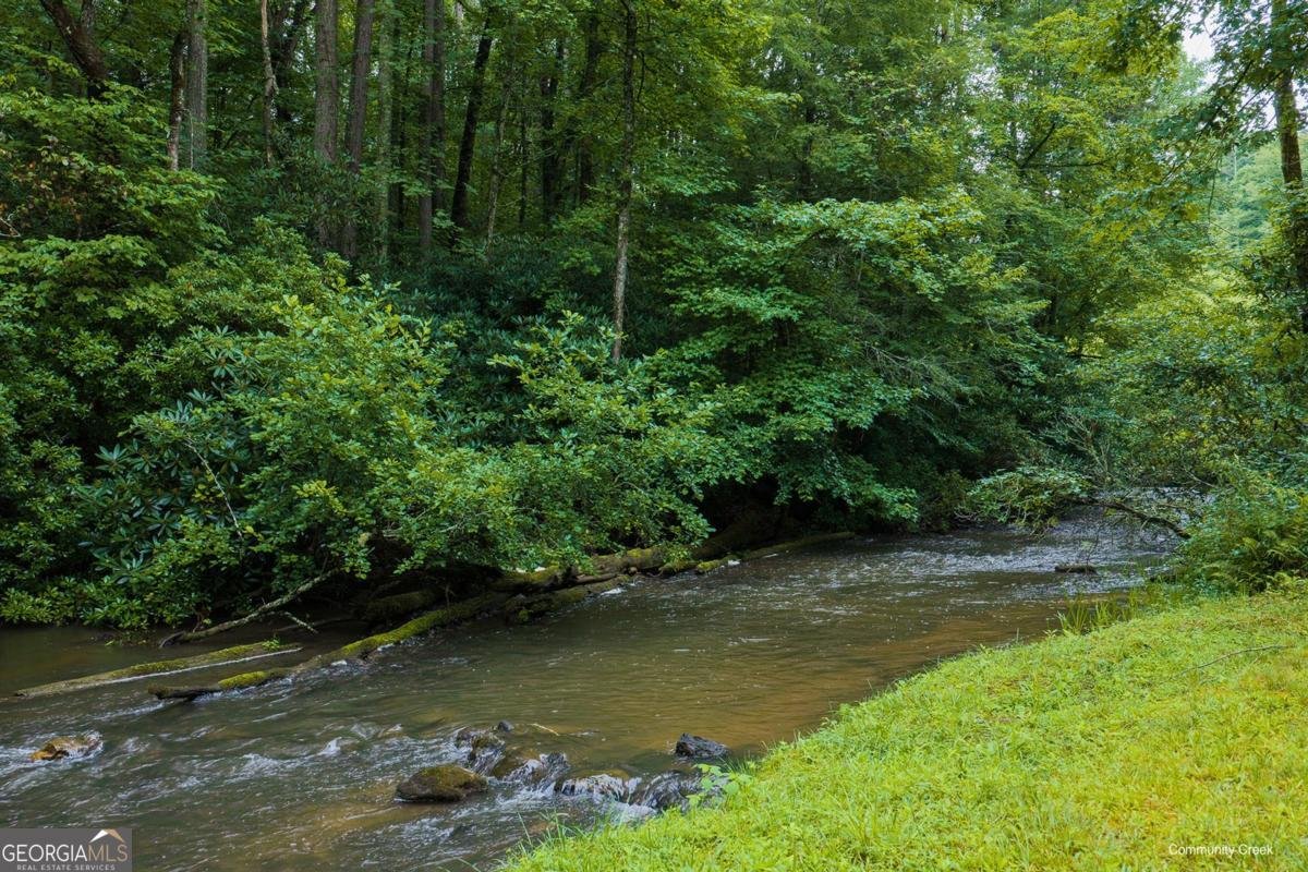 196 Creek Camp Road Ellijay - Photo 40