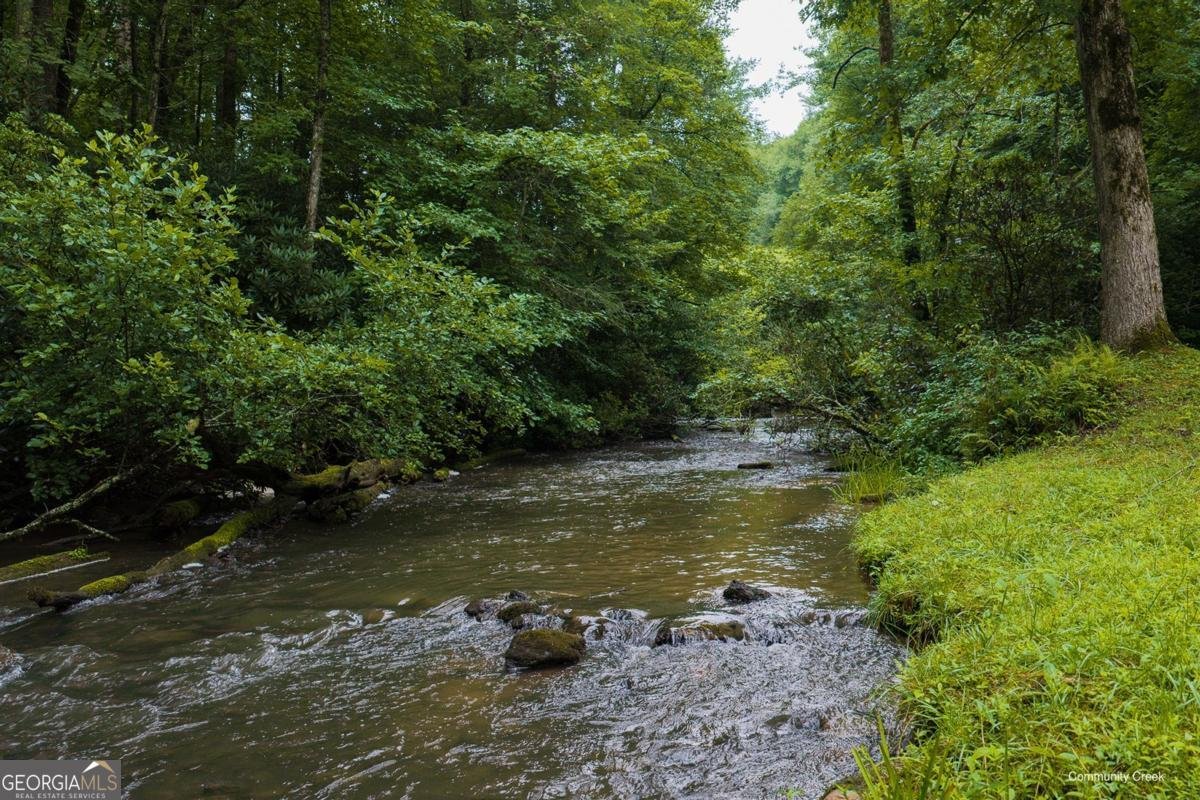 196 Creek Camp Road Ellijay - Photo 41
