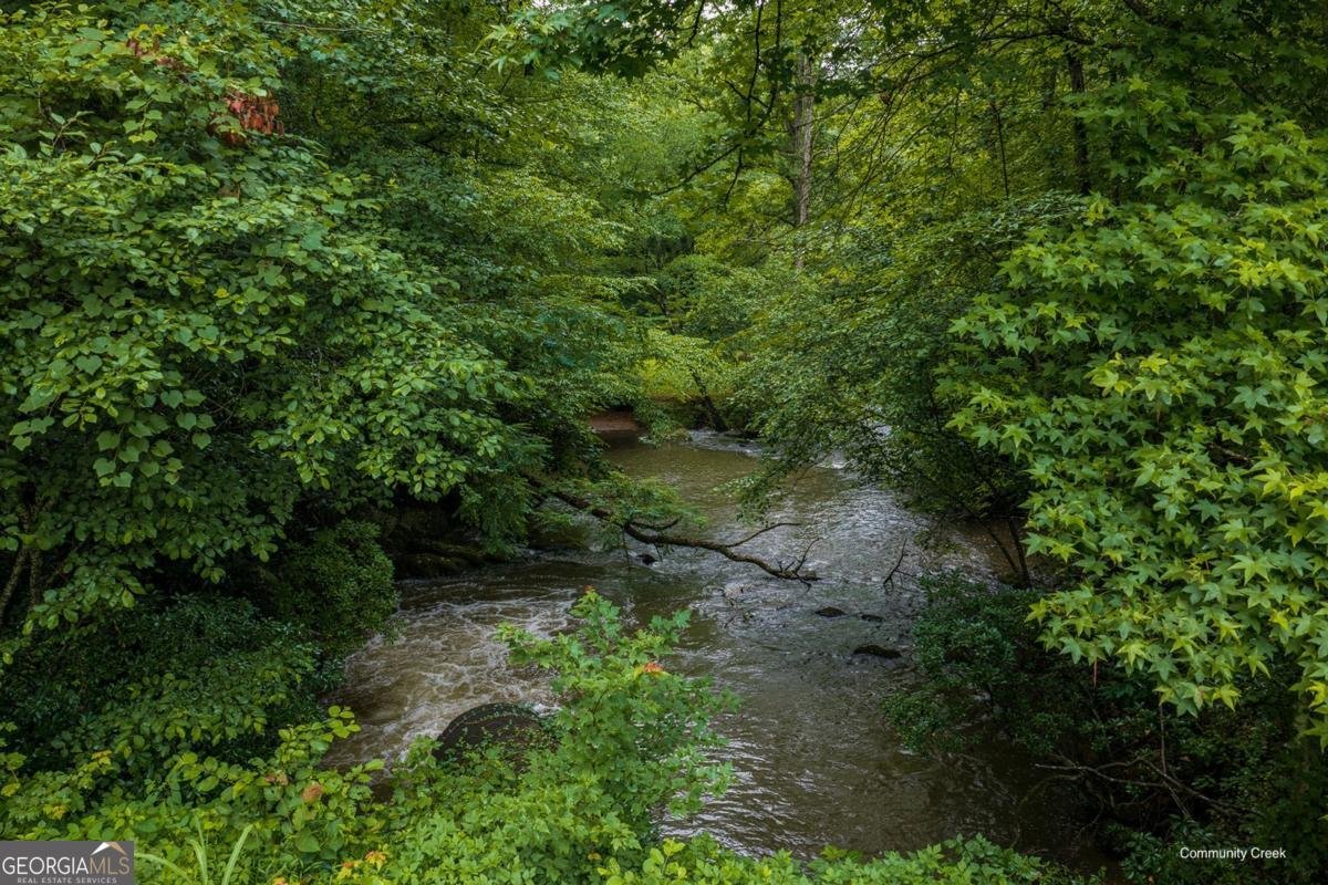 196 Creek Camp Road Ellijay - Photo 42