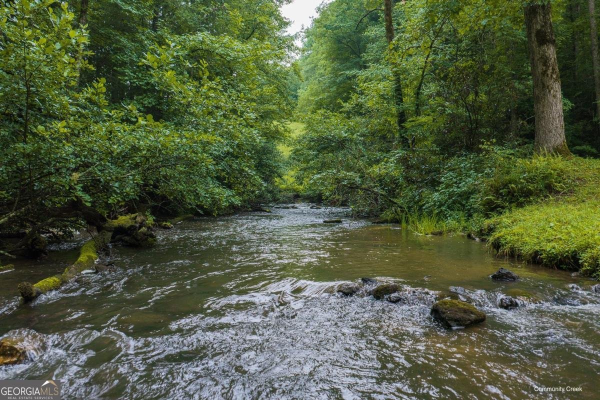 196 Creek Camp Road Ellijay - Photo 43