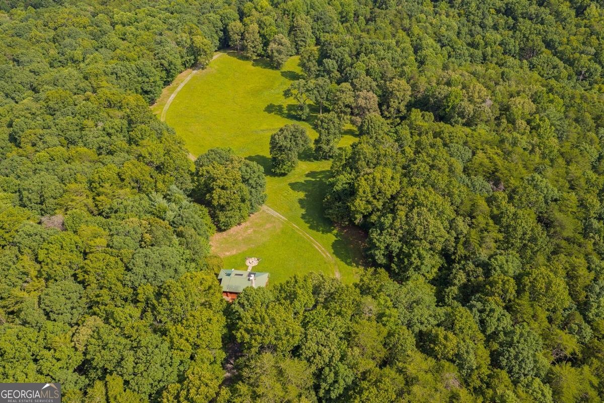 196 Creek Camp Road Ellijay - Photo 44