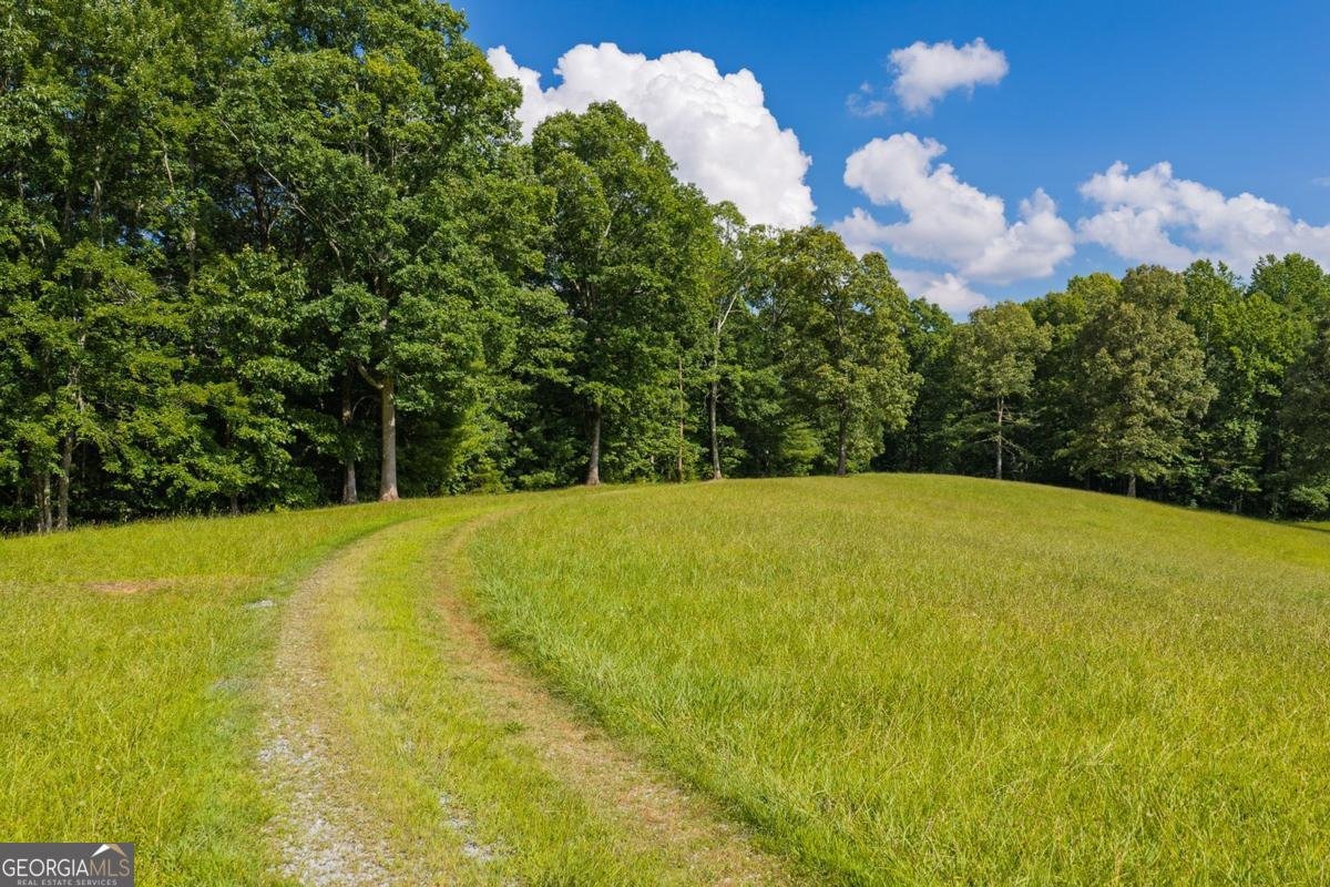 196 Creek Camp Road Ellijay - Photo 45