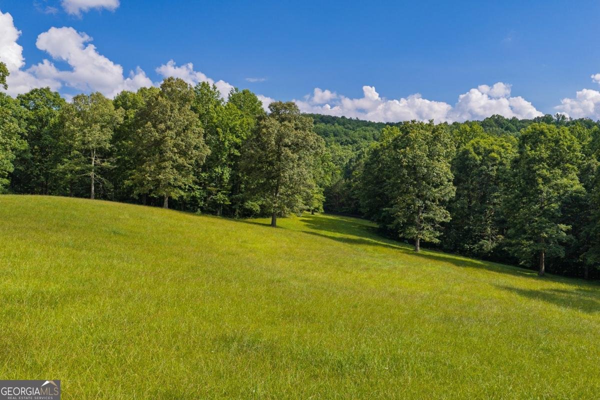 196 Creek Camp Road Ellijay - Photo 46