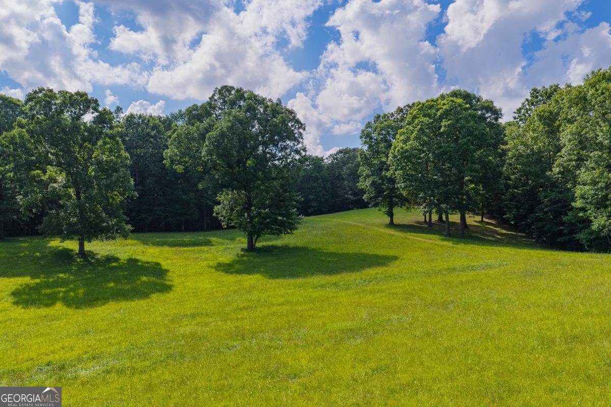 196 Creek Camp Road Ellijay - Photo 47