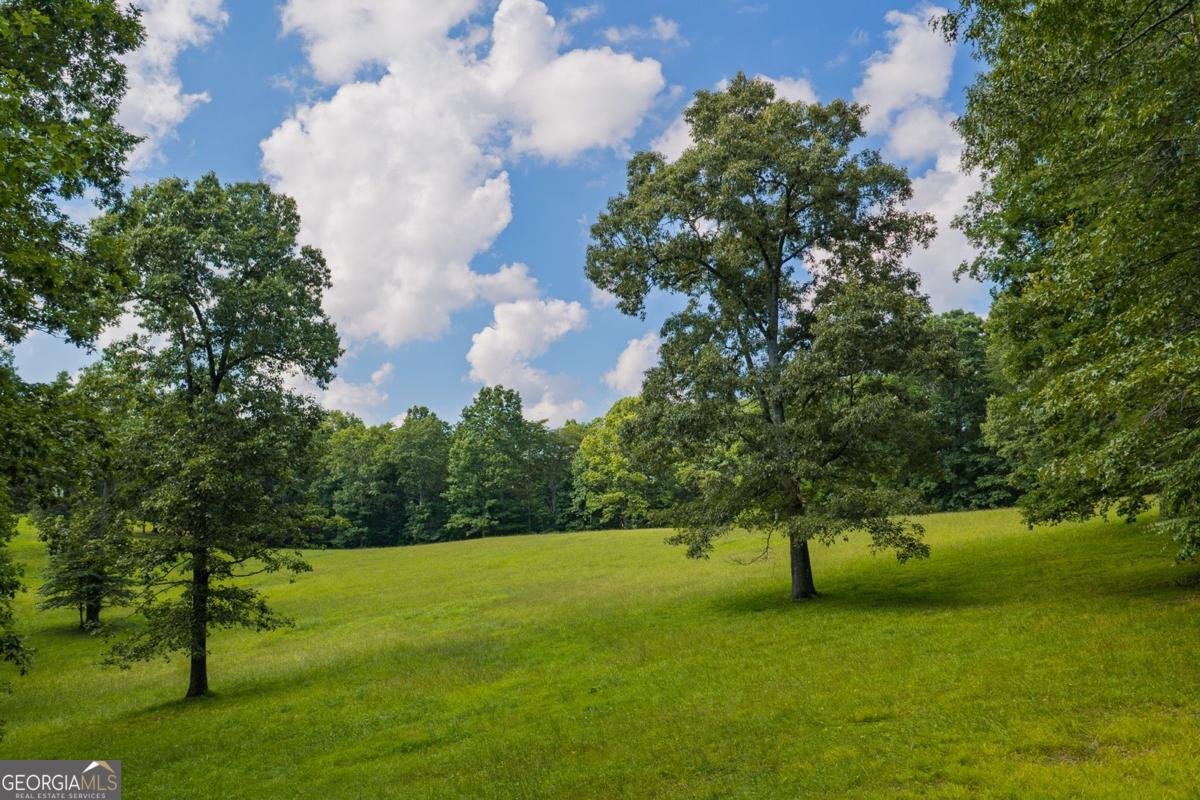 196 Creek Camp Road Ellijay - Photo 49