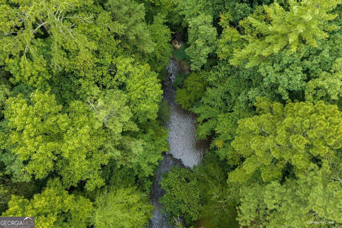 196 Creek Camp Road Ellijay - Photo 50