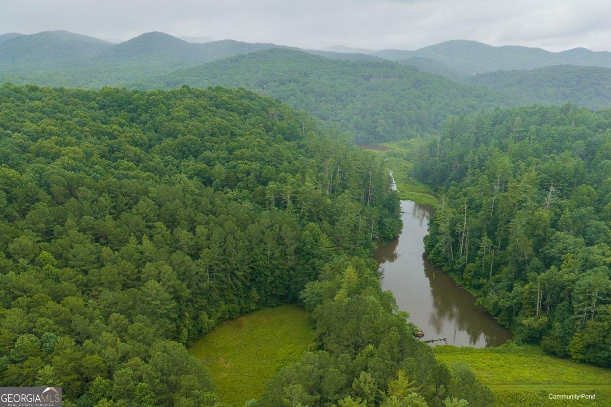 196 Creek Camp Road Ellijay - Photo 51