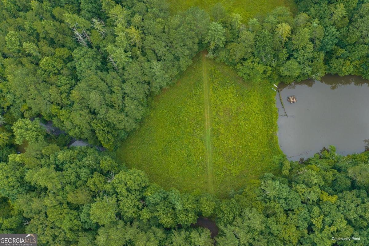 196 Creek Camp Road Ellijay - Photo 52