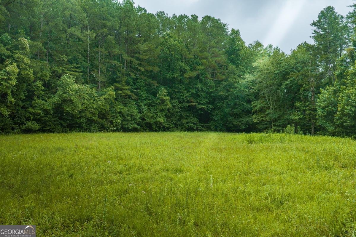 196 Creek Camp Road Ellijay - Photo 53