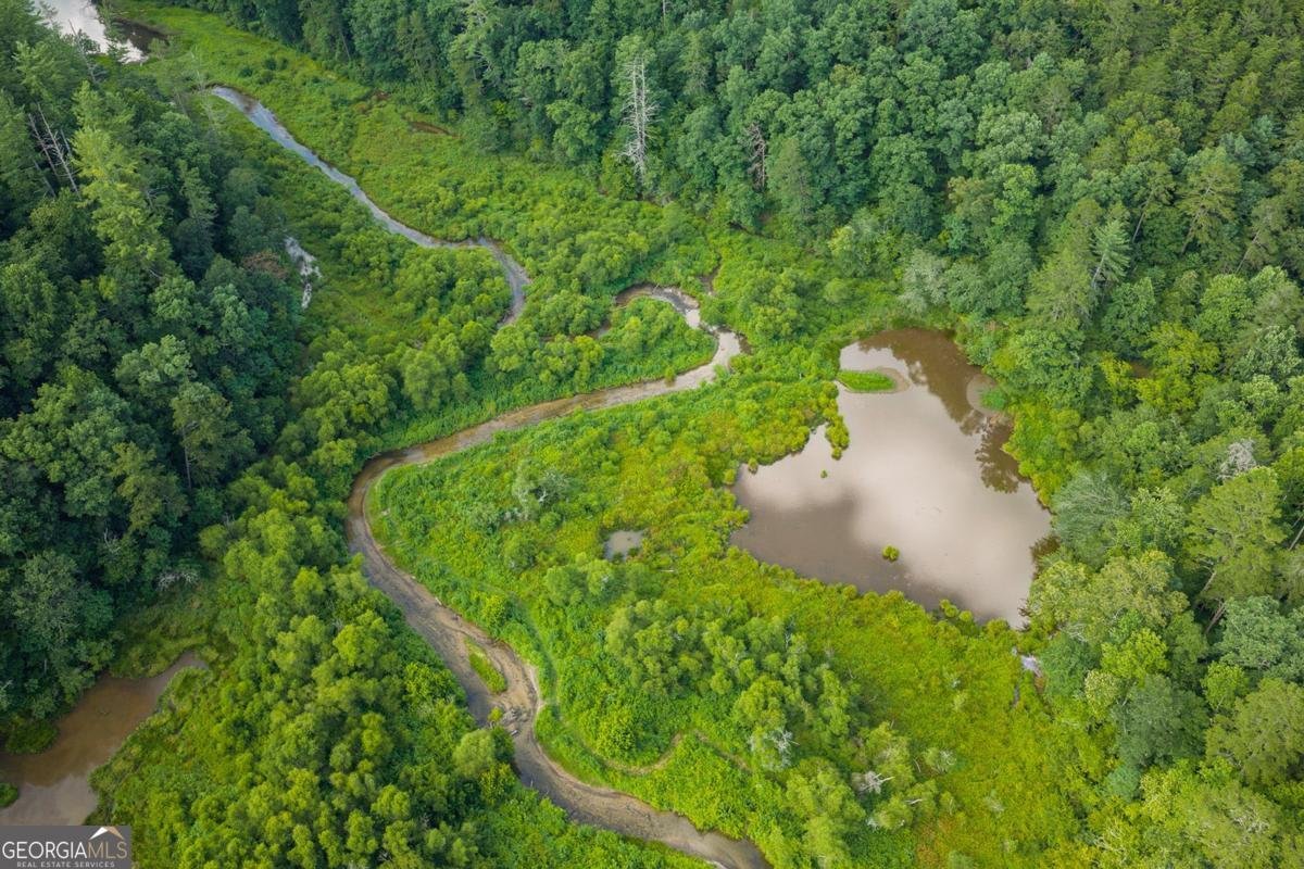 196 Creek Camp Road Ellijay - Photo 54