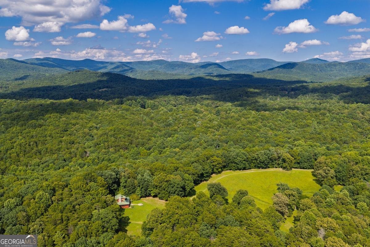 196 Creek Camp Road Ellijay - Photo 6