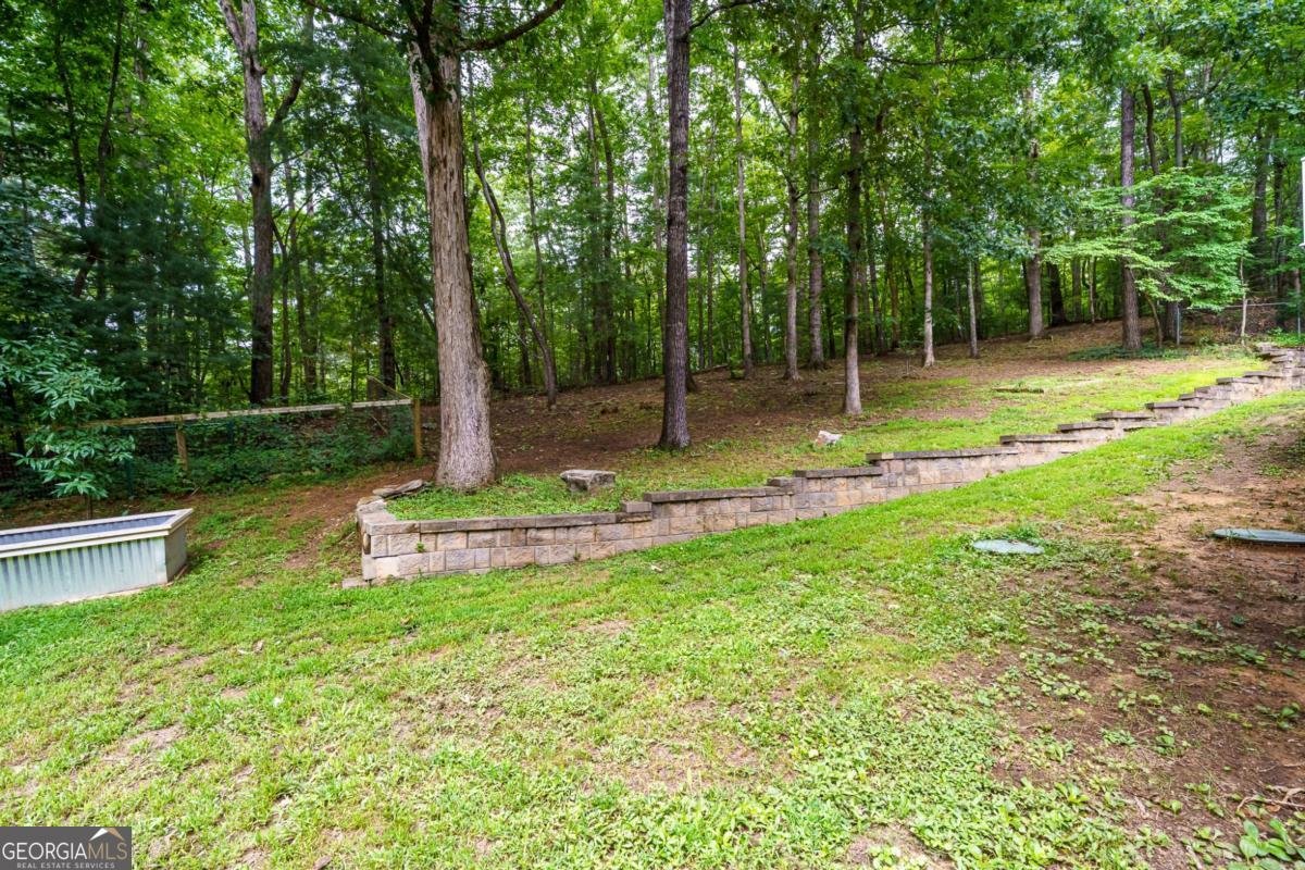 387 Leonard Evans Road Ellijay - Photo 61