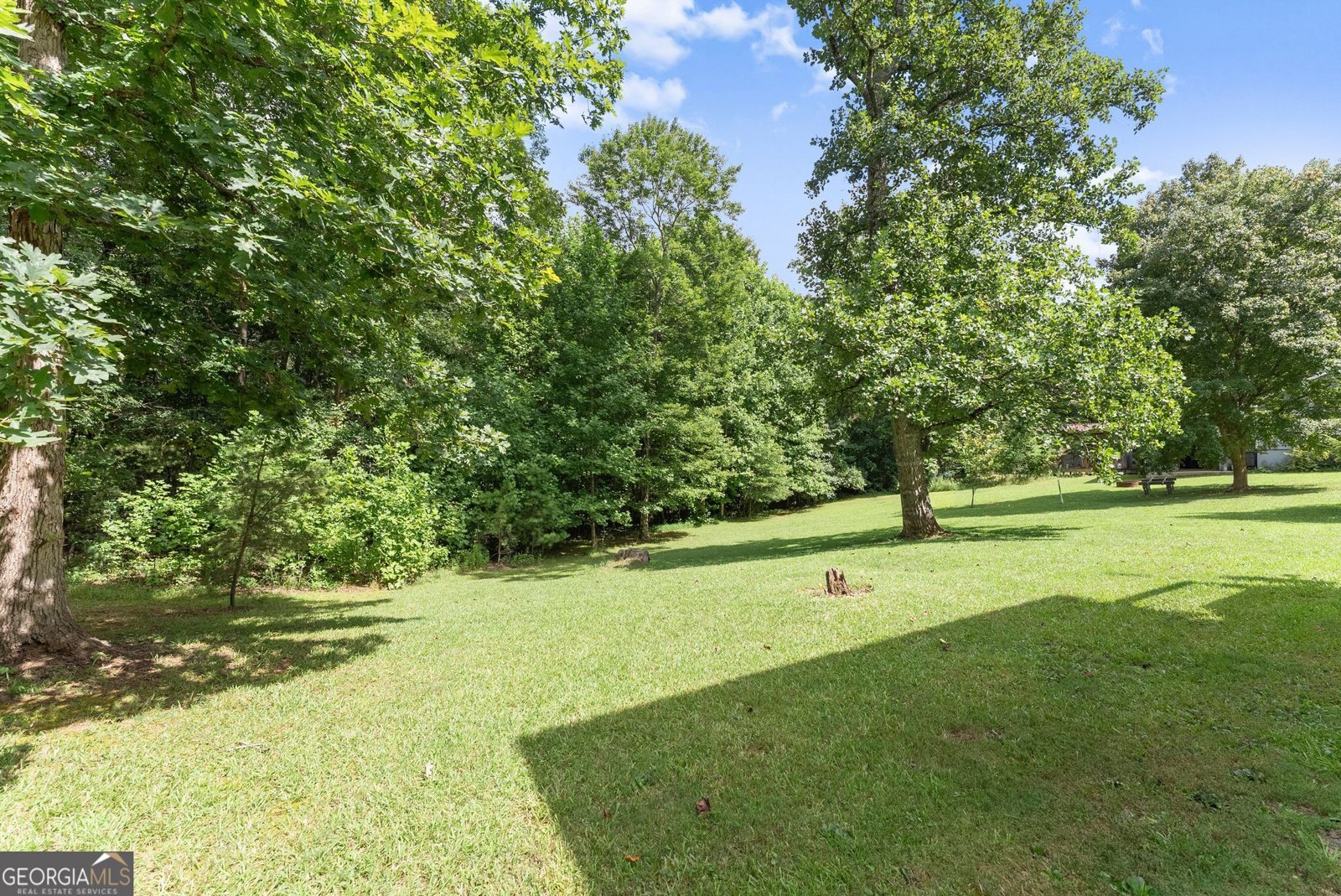 1494 The Orchard Road Clarkesville - Photo 44