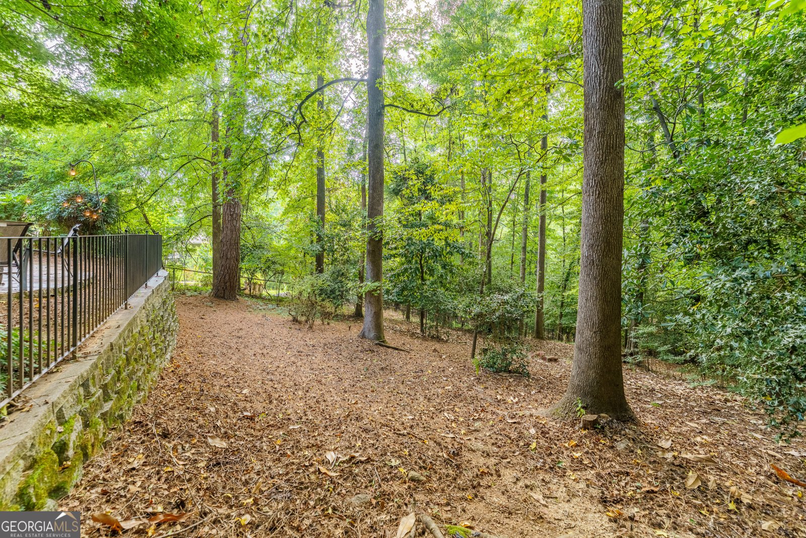 759 Riverhill Drive Athens - Photo 72