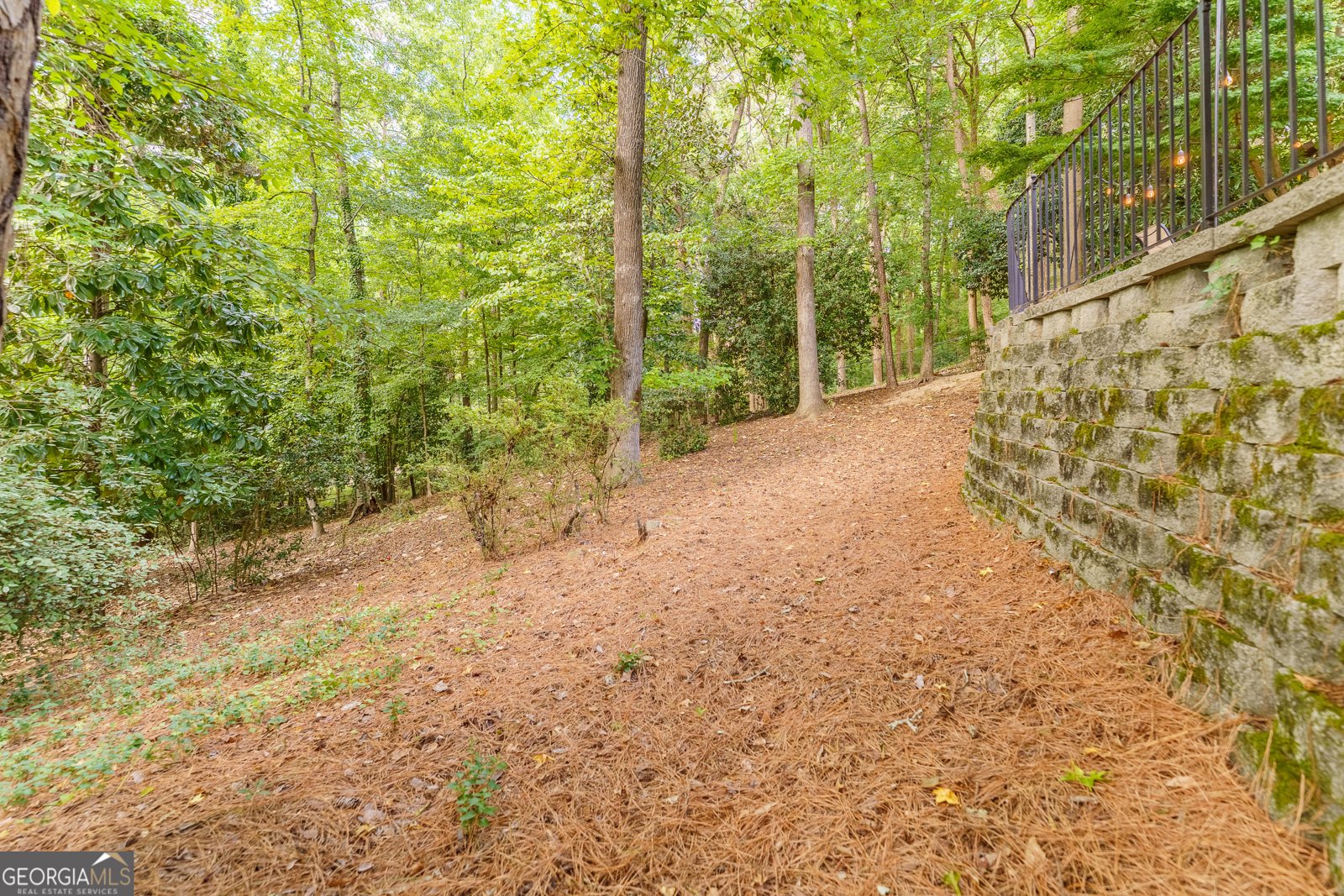 759 Riverhill Drive Athens - Photo 73
