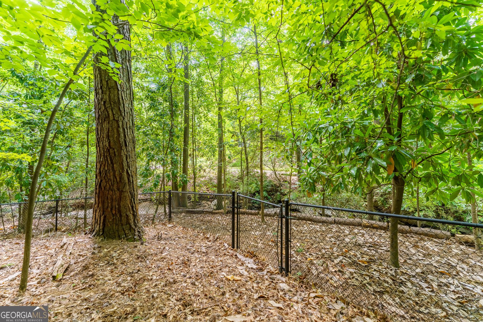 759 Riverhill Drive Athens - Photo 74