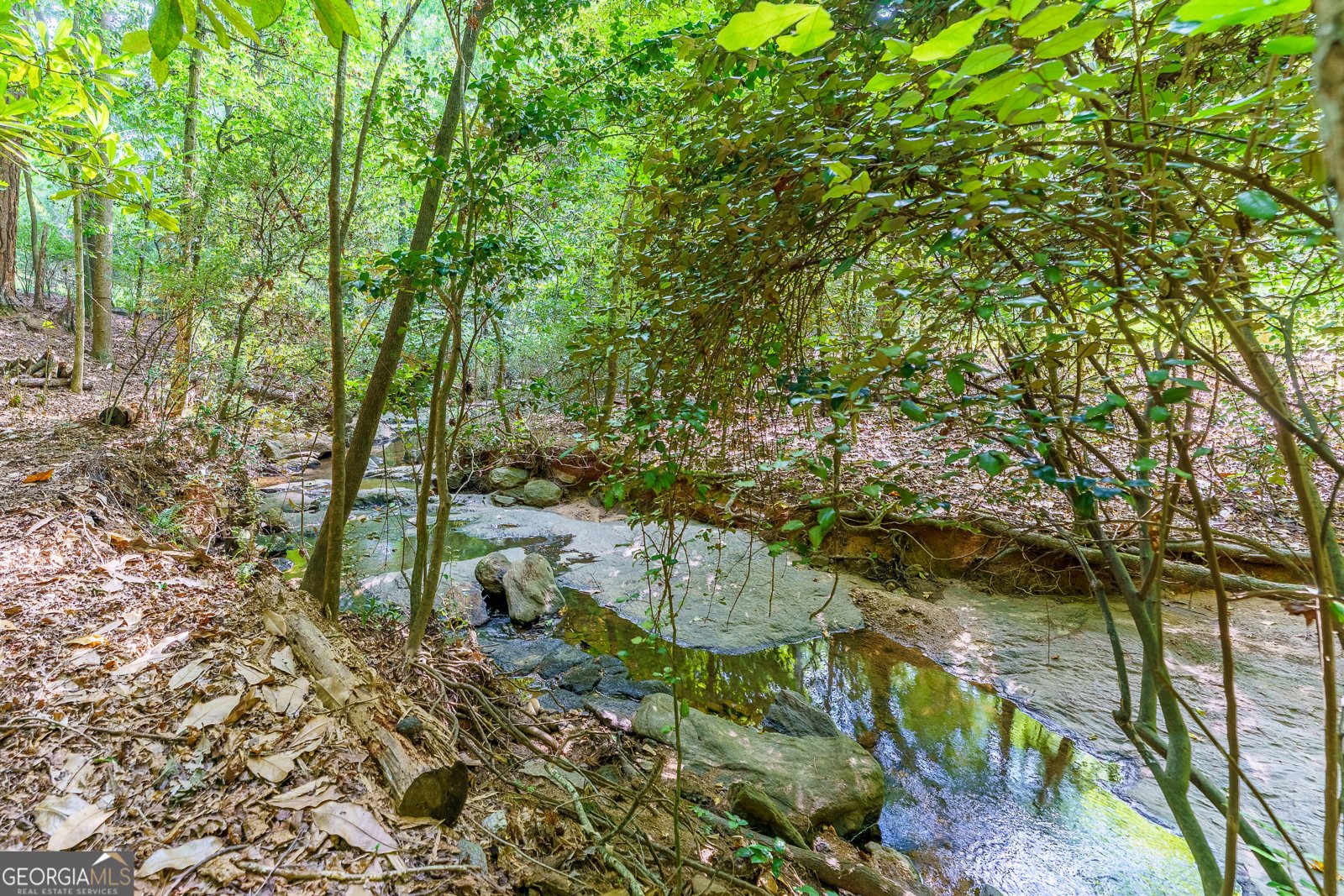 759 Riverhill Drive Athens - Photo 76