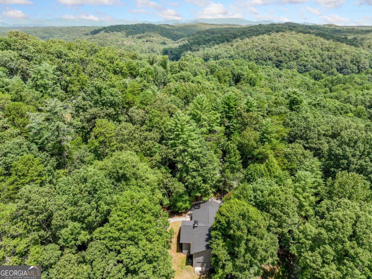 36 Dapple Lane Ellijay - Photo 41