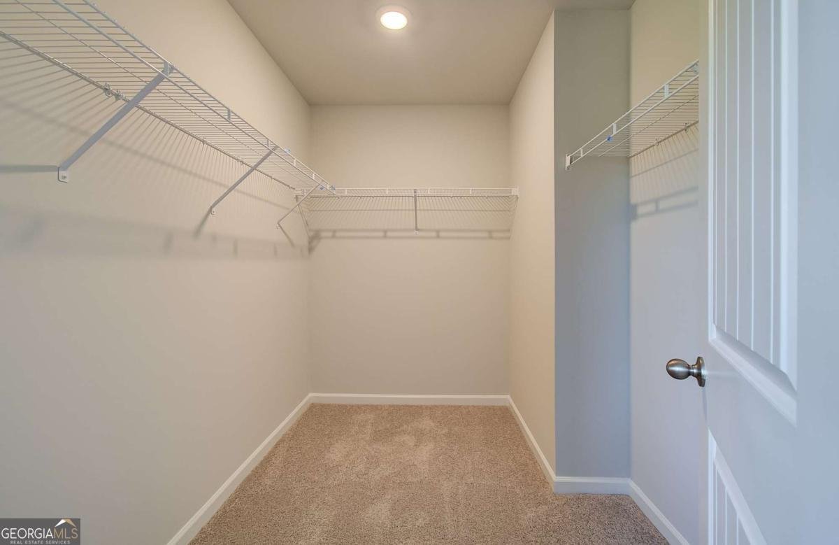 176 Dalston Cove Stockbridge - Photo 21