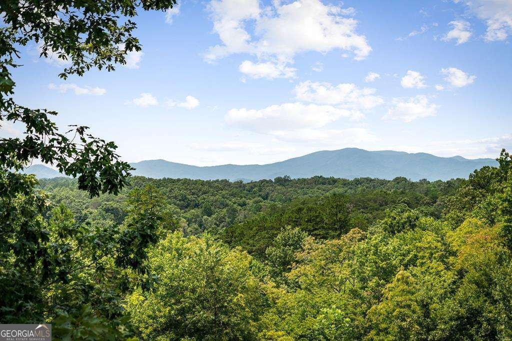 185 Austin Mountain Road Copperhill - Photo 13