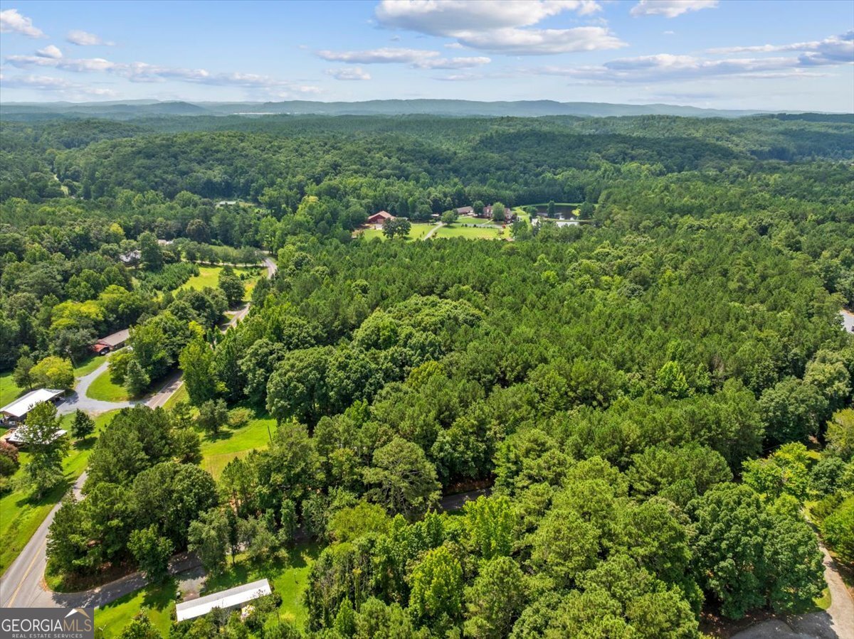 3519 River Bend Road Plainville - Photo 24