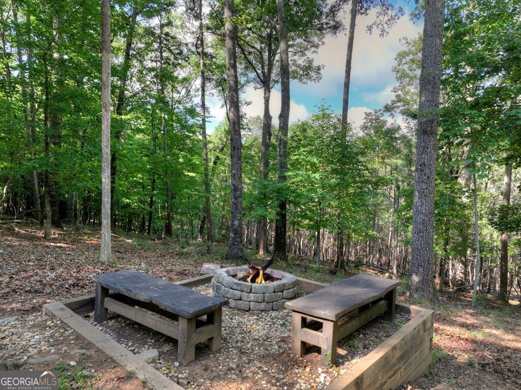 187 Hayden Way Drive Morganton - Photo 11