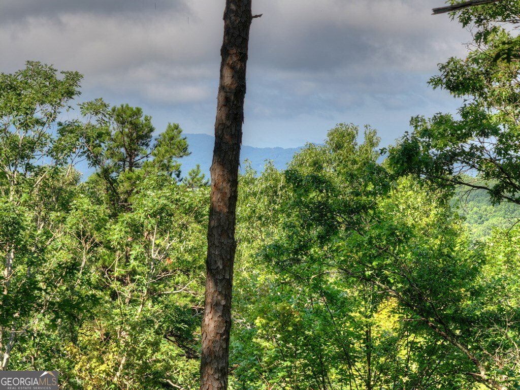 187 Hayden Way Drive Morganton - Photo 13
