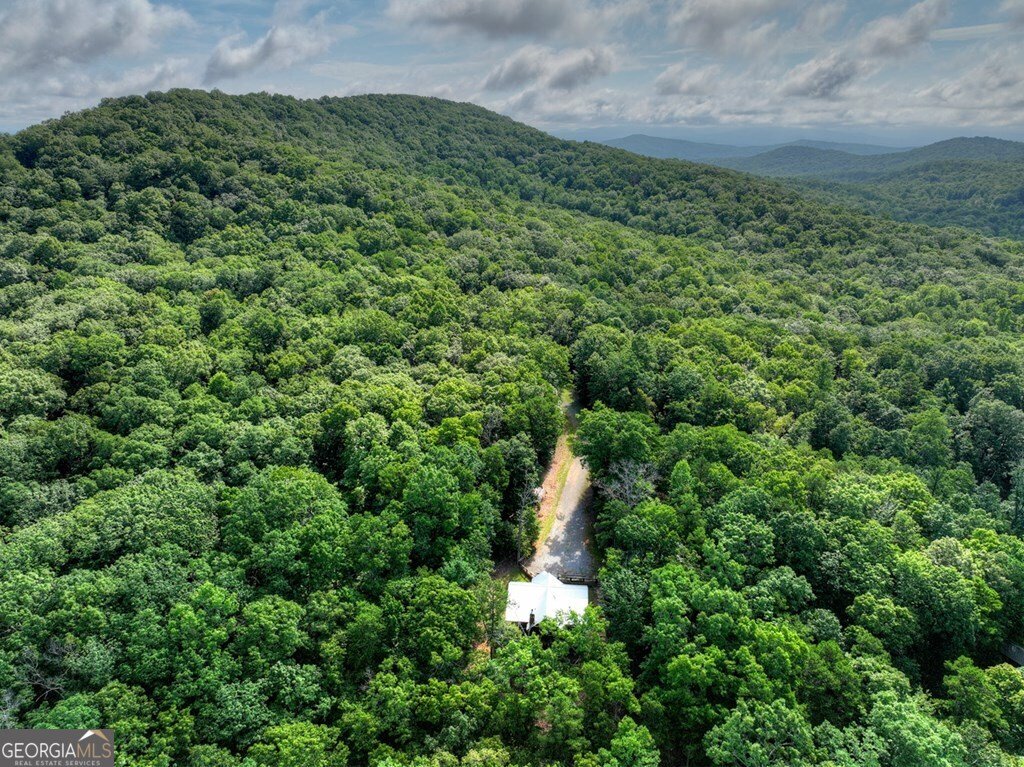 187 Hayden Way Drive Morganton - Photo 47