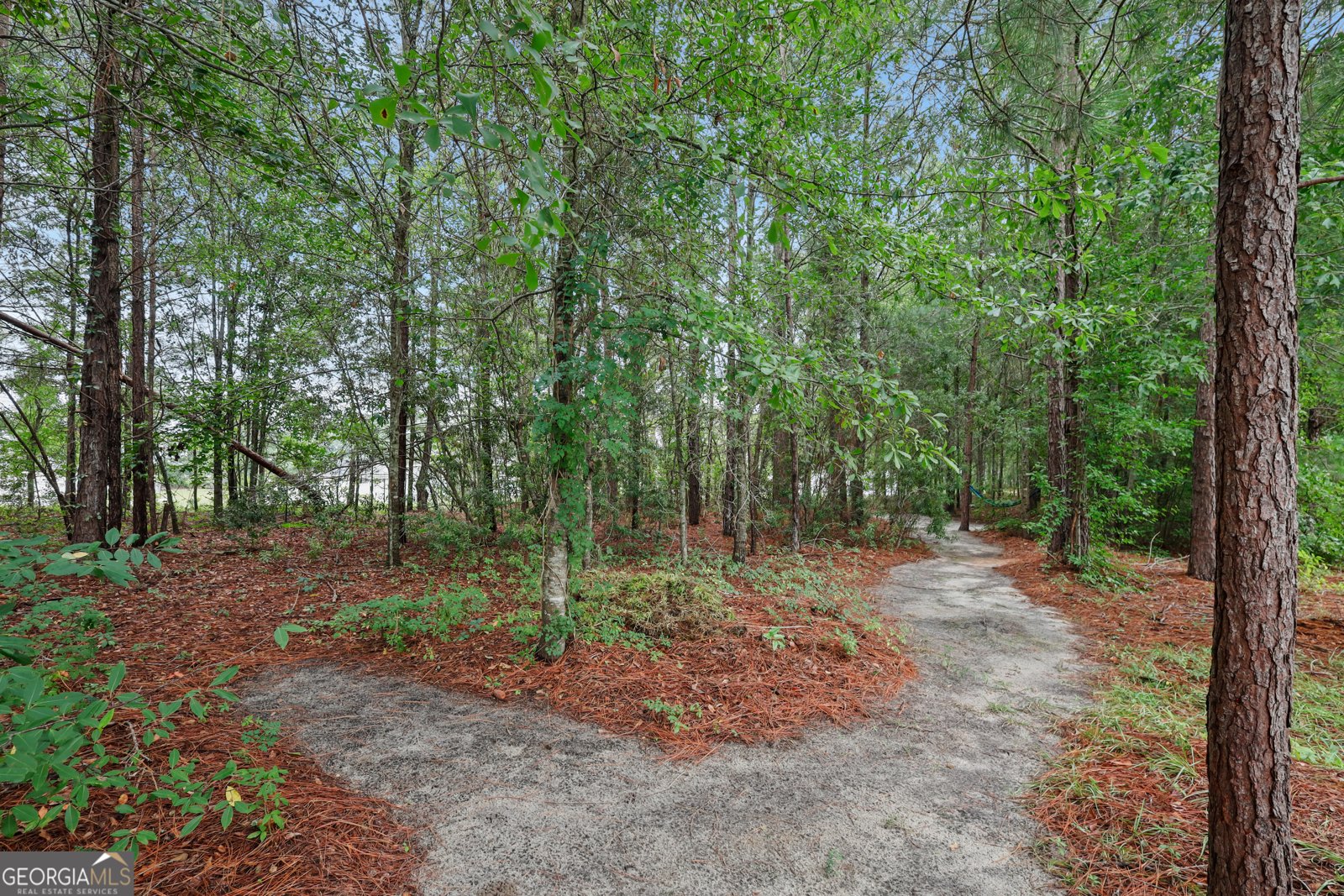 232 Tavern Lane Statesboro - Photo 36