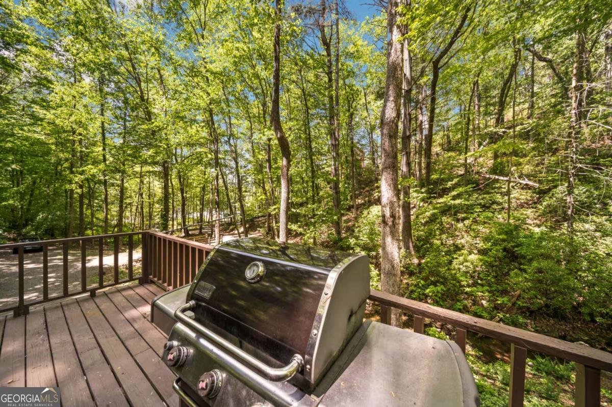 469 North Lake Drive Ellijay - Photo 53