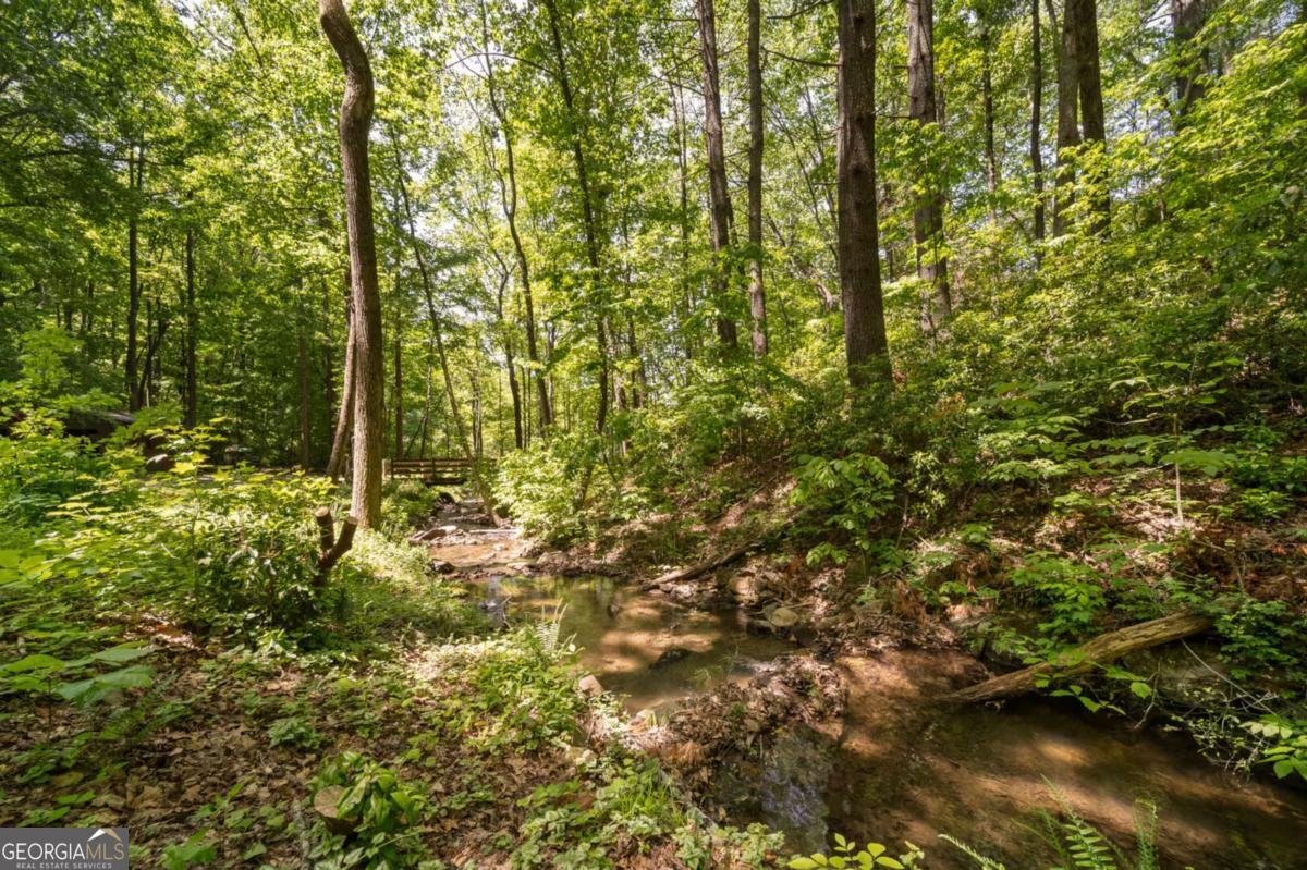 469 North Lake Drive Ellijay - Photo 62