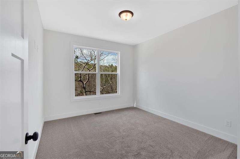 12 Altar Rock Court Cartersville - Photo 22