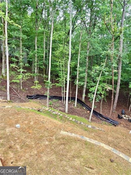 137 Bear Drive Waleska - Photo 20
