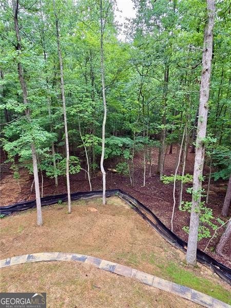 137 Bear Drive Waleska - Photo 21