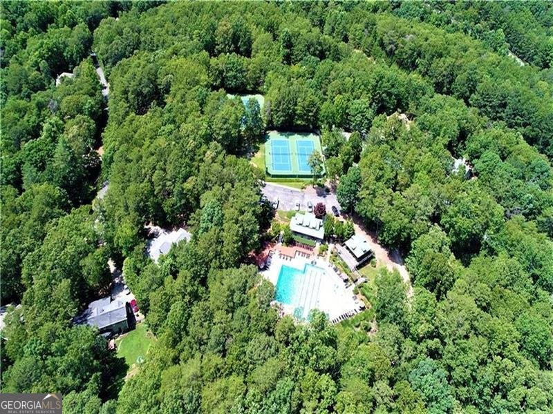 137 Bear Drive Waleska - Photo 28