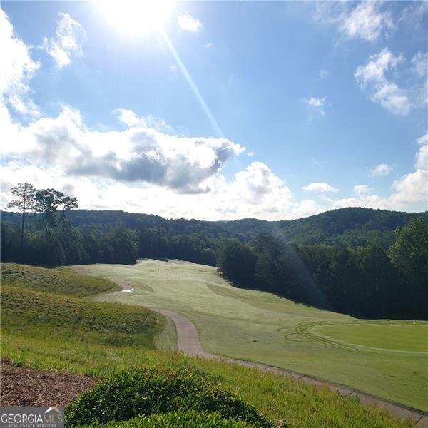 137 Bear Drive Waleska - Photo 33