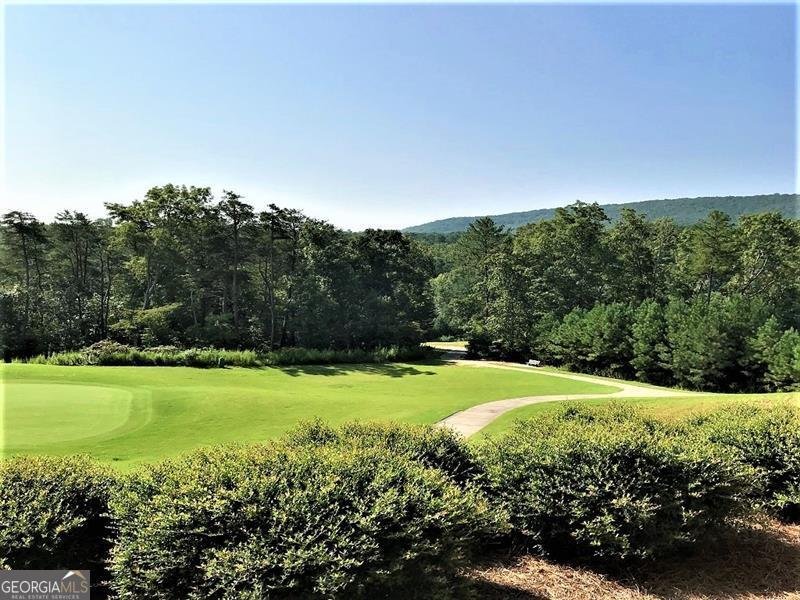 137 Bear Drive Waleska - Photo 34