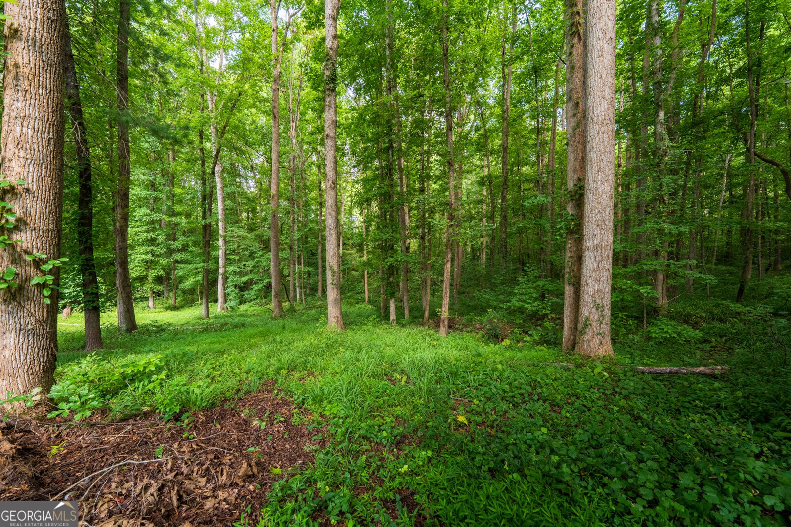 309 Calusa Place Ball Ground - Photo 44