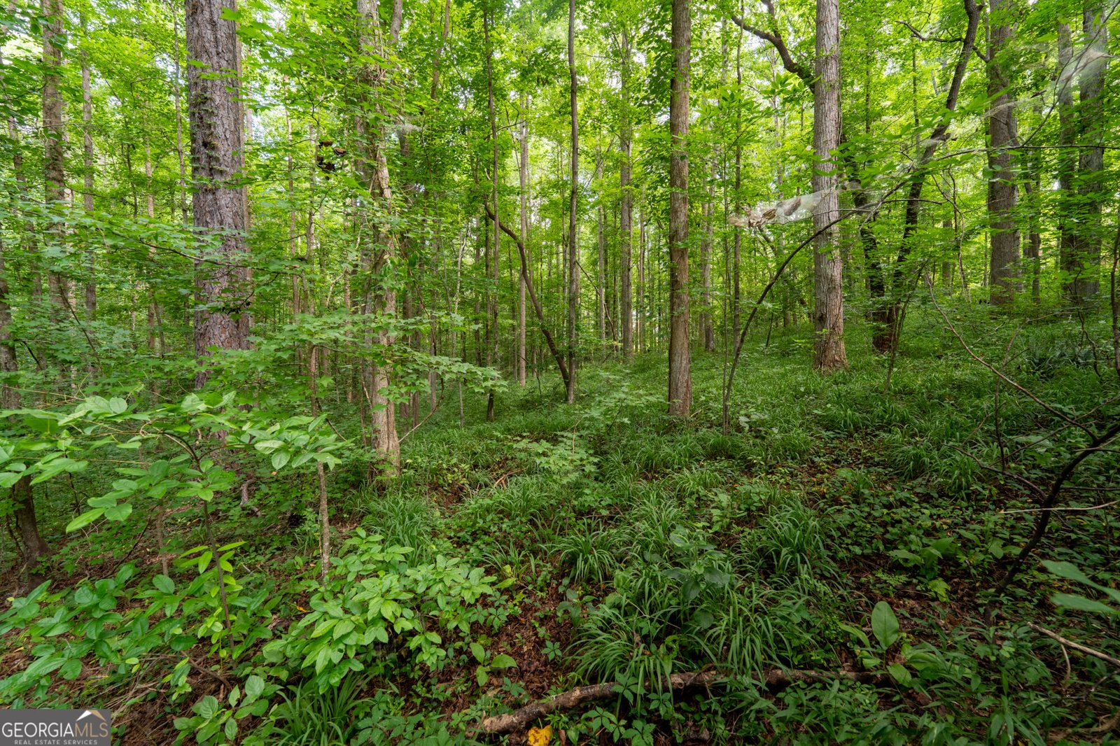 309 Calusa Place Ball Ground - Photo 45
