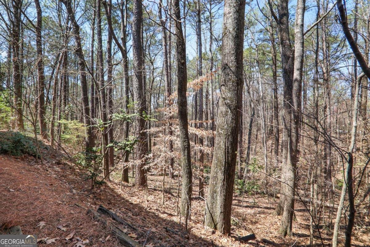 210 Woodcliff Drive Atlanta - Photo 20