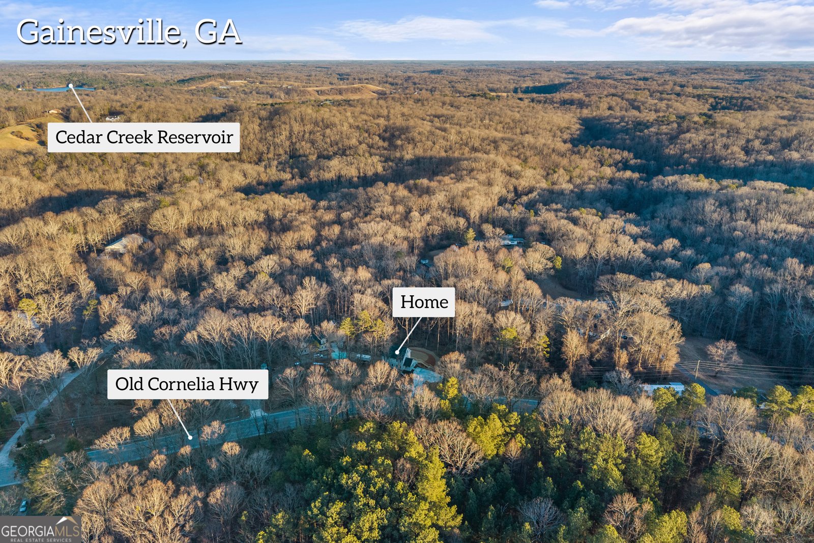 3114 Old Cornelia Highway Gainesville - Photo 78