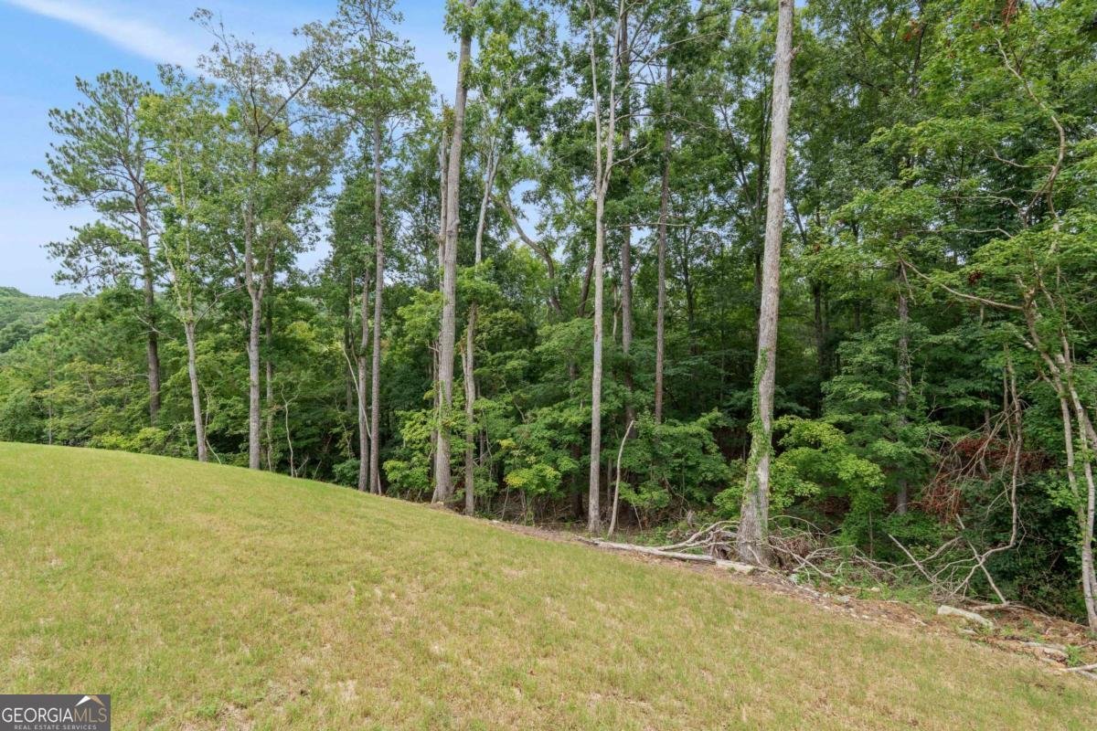 149 Silvercrest Drive Acworth - Photo 56