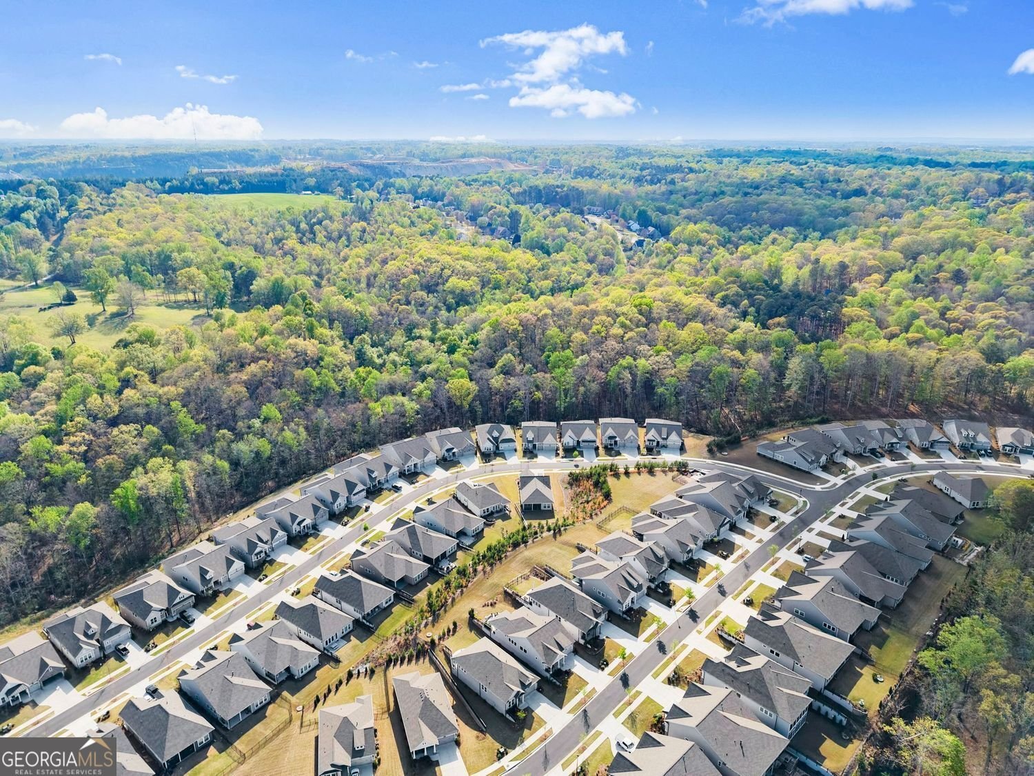 6838 Welcome Road Flowery Branch - Photo 30